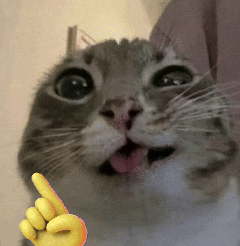 Cat wagging its finger no